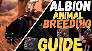 Kennels & Pastures and How to GET STARTED - Albion Online