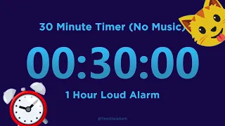 30 minute Timer Countdown (No Music) + 1 Hour Loud Alarm