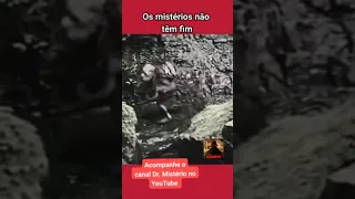 Criatura Estranha - Os mistérios não tenta fim