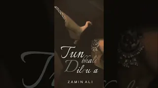 Tun Bhali Dilruba | Zamin Ali | Sindhi Song | #zaminali #sindhisong #sindhistatus  #shorts #viral