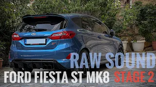 Ford Fiesta ST MK8 - Stage 2 - Nature and City Driving (RAW)