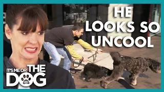 Owner Can’t Control His Dog in Public😱 | It’s Me or The Dog