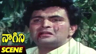 Rishi Kapoor Fight Scene || Naagini Telugu Movie || Rishi Kapoor, Sri Devi