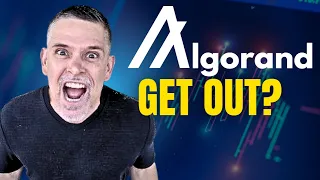 Algorand ($ALGO) DANGER ZONE! Is it Time to GET OUT Before it's Too Late?