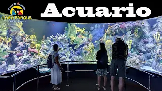 Фильм-релакс: Аквариум Лоро Парк, Тенерифе |  Relax film: Loro Park Aquarium, Tenerife