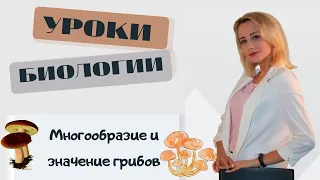 Многообразие и значение грибов