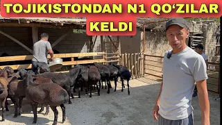 IKROM AKA YANA UDARLARINI OLIP KELDI