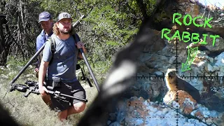 Hunting the Cliffsides: Hyrax & Monkeys vs High Power Airguns | Baviaanskloof Hunting Series, pt.2