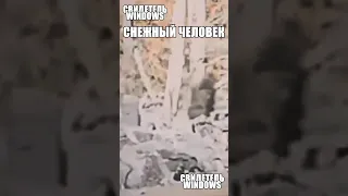 Единственное настоящее видео Снежного Человека снова вызывает много вопросов