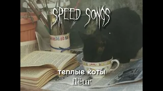 flëur - теплые коты (speed up)