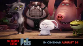 #TheSecretLifeofPets in cinemas August 24