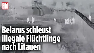 Illegale Flüchtlingshilfe: Belarus lässt Grenze aufschneiden | Ukraine-Krieg