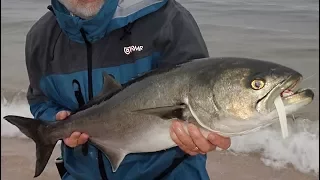 The Bloody Water Bluefish Blitz!