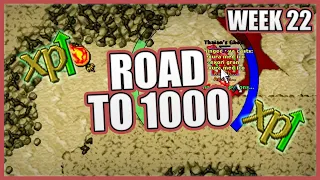 Road to 1000 - Week 22