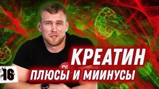 КРЕАТИН. НУЖЕН ИЛИ НЕТ? КАК ПРАВИЛЬНО ПРИНИМАТЬ.