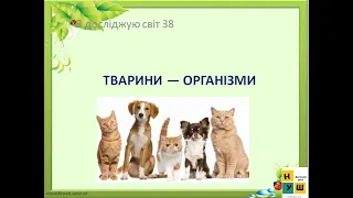 38 ТВАРИНИ — ОРГАНІЗМИ. ЯДС 3 клас автор підручника І.Жаркова