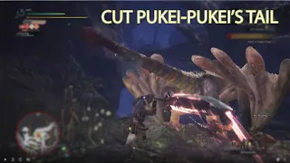 MONSTER HUNTER WORLD - Walkthrough #4 Hunt Pukei-Pukei