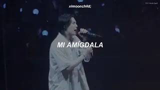 Suga | Agust D - 'Amygdala (D-Day Tour Concert)' || (Traducida al español)