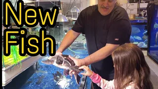 NEW Fish at ohio fish rescue - going through the saltwater supplies.