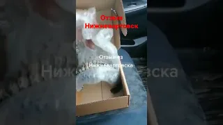 Отзыв Нижневартовск