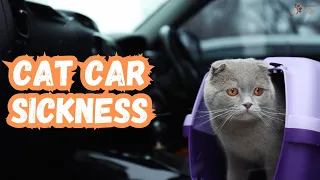 CAT CAR SICKNESS | The Ultimate Guide to Preventing Carsickness in Your Feline Friend!