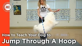 How To Teach Your Dog To Jump Through A Hoop