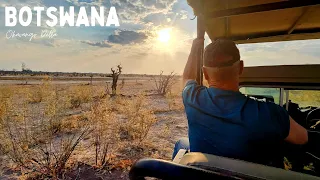 The Gregory's Epic Safari In Botswana 2023