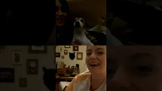 Sarah & Brendon Urie Instagram live! (Call with Zack, Kala and Fans)