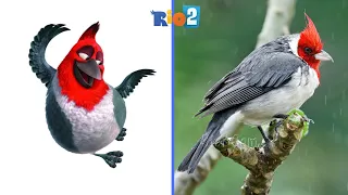 Rio 2 Characters In Real Life 💥