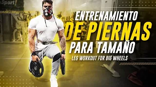 Leg Workout for Big Wheels | Entrenamiento de Piernas para Ganar Tamaño