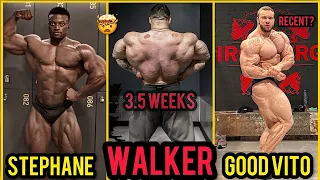 Nick Walker 3.5 Weeks Out + Good Vito RECENT? + Stephane Matala PEELED + MORE