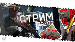 ВАРФЕЙС СТРИМ!БУДУЩЕЕ ИГРЫ!ПОЛНОСТЬЮ НОВЫЙ РМ!МОДЫ 2.0!БП И СЕЗОН!ТОП СКИДКИ!КЕЙСЫ РАЗОРА!КОД:МАМБА