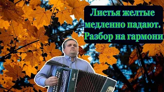 Листья желтые медленно падают // Разбор на гармони