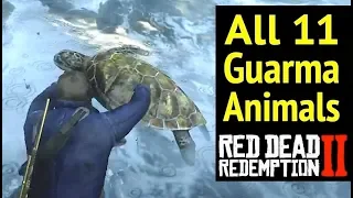 All 11 Guarma Animals in Red Dead Redemption 2 (RDR2): Rare Green Turtle and Locations