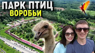 Парк птиц "ВОРОБЬИ" в Калужской области
