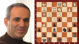 Garry Kasparov with the Black pieces at the Niksic 1983 Tournament Magician! (Chessworld.net)