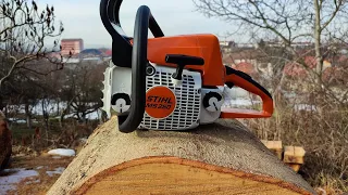 Legendary Stihl MS 250 chainsaw - first start, first cuts, big wood test, factory rpm and more !!!