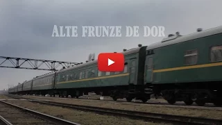 Alte frunze de dor