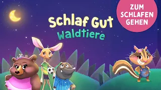 Schlaf Gut Waldtiere 🐻 Beruhigende Gute Nacht App für Kinder zum Einschlafen mit Einschlafmusik