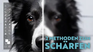 2 Methoden um Deine (Hunde) Fotos in Photoshop zu schärfen & Details hervorzuheben