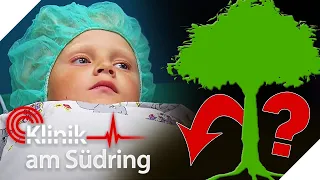 Irgendwas stimmt da nicht 🤔  Ist der Kleine wirklich vom Baum gestürzt? | Klinik am Südring | SAT.1