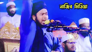 মামুনুল হকের উপর কঠিন নির্যা*তন করা হচ্ছে | আলী হাসান উসামা | ali hasan usama | mamunul haque waz