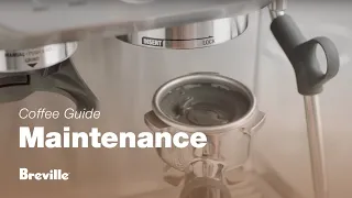 The Barista Express® | How to perform a cleaning cycle on your espresso machine | Breville USA