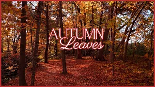 [Piano - 1 hour]  Autumn Leaves / Relaxing Autumn Piano Songs Playlist