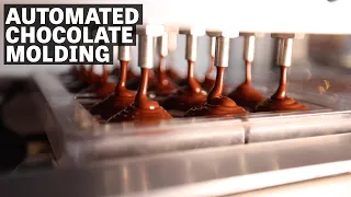 Automated Molding Line | Ep.93 | Craft Chocolate TV