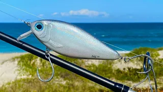 Taking My Pilchard CrankBait to FLORIDA!