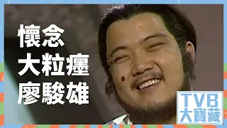 TVB大寶藏｜懷念「大粒癦」廖駿雄｜TVB｜娛樂｜永遠懷念