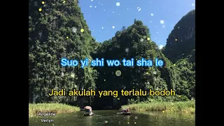 Shi Wo Tai Sha Le - Aku Yang Terlalu Bodoh