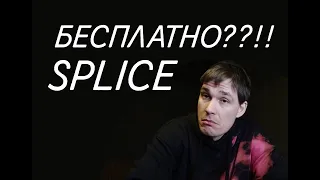 Splice БЕСПЛАТНО!?? фишки Reaper