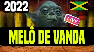 Melô De Vanda 2022 | Reggae Remix - Dj Mister Foxx